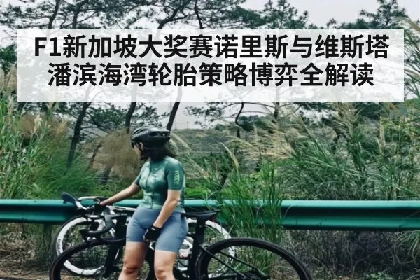 F1新加坡大奖赛诺里斯与维斯塔潘滨海湾轮胎策略博弈全解读